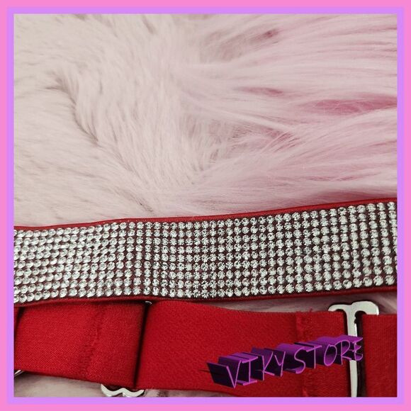NWT Red Radiance: Victoria's Secret Crystals Garter XS NWT - Picture 4 of 5